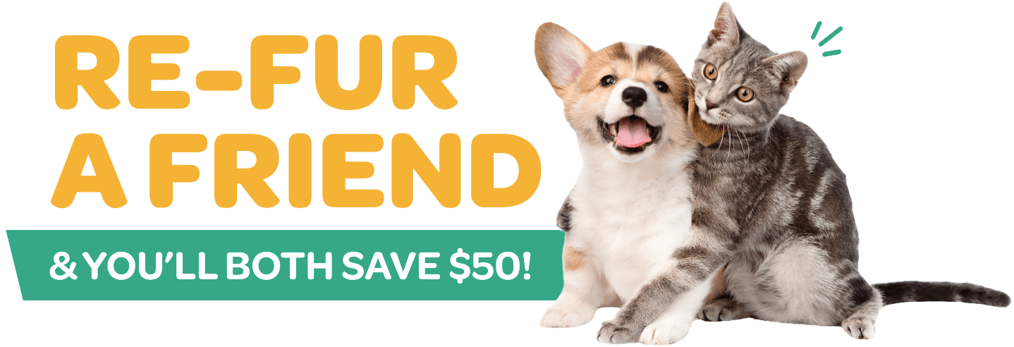 Graphic that reads "Re-fur a friend and you'll both save $50" with image of kitten and puppy to the right