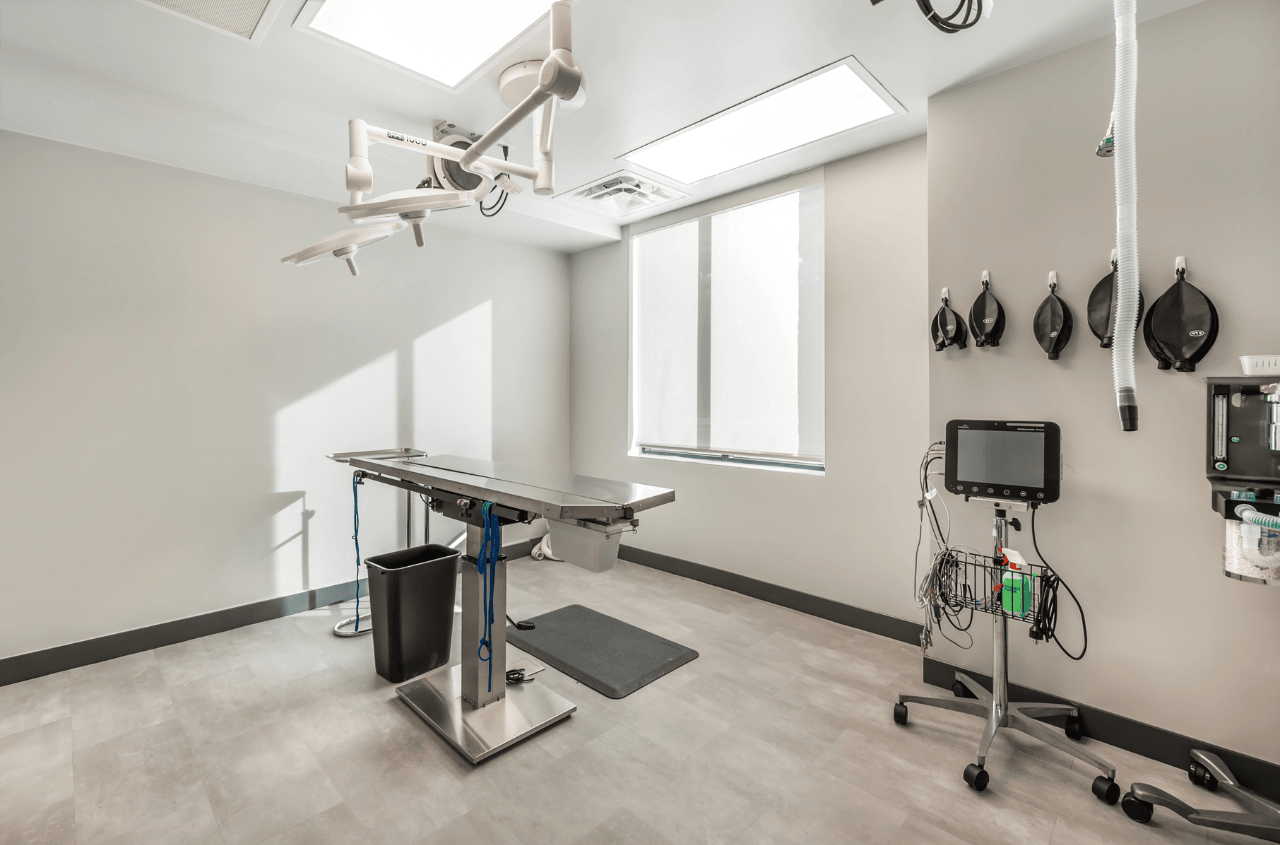 Empty surgical table in isolated room at Livewell Animal of Sloan Lake